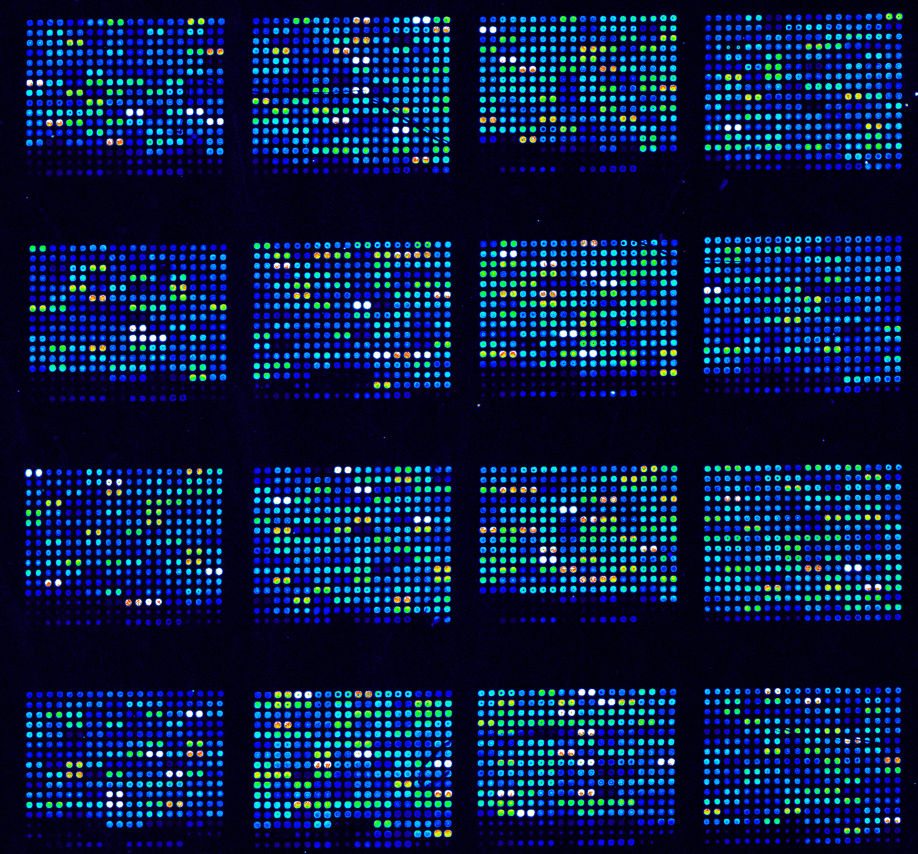 Dna,Microarrays,Are,Used,In,Biological,Research. image surface microarray kit