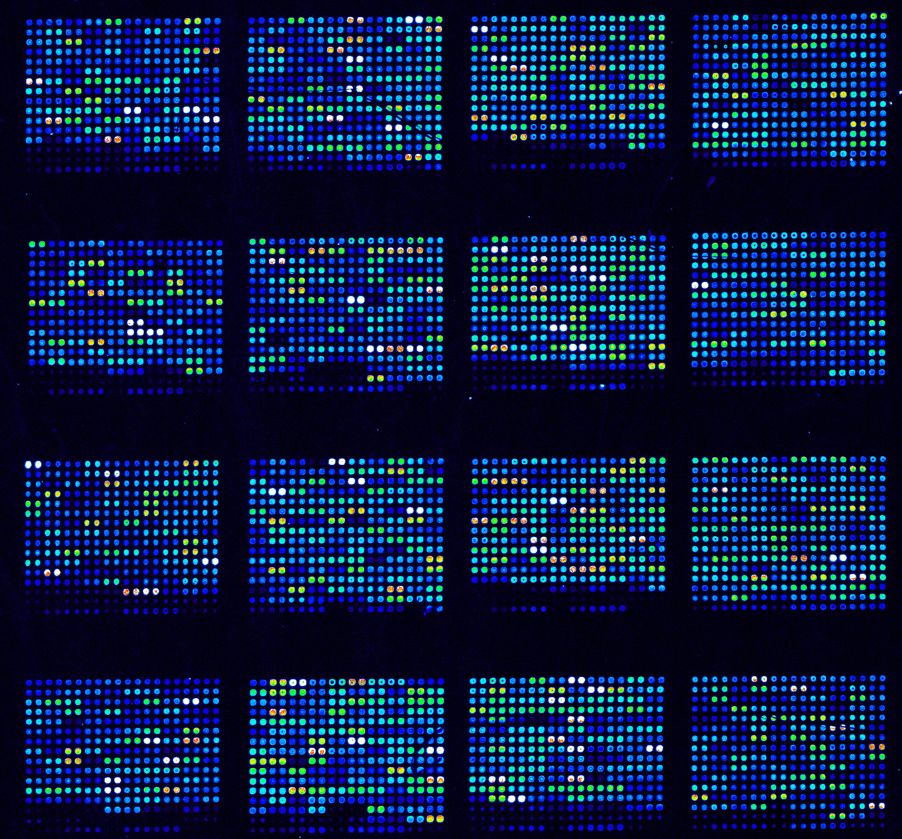 image surface microarray kit